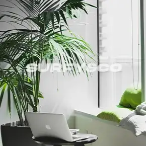 surfy-and-co